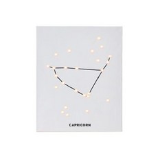 스칸디팝 별자리 시리즈 DIY 캔버스조명, 염소자리, 1개