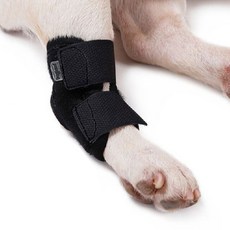 EGUEGU 狗髕骨護膝 XL, 黑色的, 1個