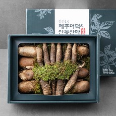 정성들인 제주더덕 안동산마 혼합세트, 1세트