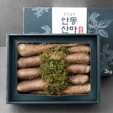 정성들인 안동 산마 선물세트, 3kg, 1박스