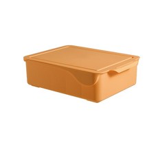 Living S塑膠內衣收納盒 黃色 貼身內褲型, 1個