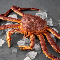 바이킹마켓 노르웨이산 활 킹크랩, 2kg, 1개
