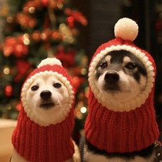 제이유앤 반려동물 크리스마스 산타모자, 레드, 1개