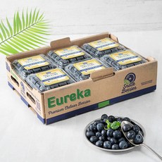 폴앤박 유레카 블루베리, 125g, 12개입