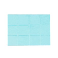 寵物夏季涼墊 涼感墊 AA480-2, 薄荷綠, 1個