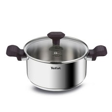 Tefal 特福 電磁爐適用不鏽鋼雙柄湯鍋, 20cm, 混色, 1組