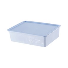 L.Elliving 分隔內衣襪子存儲者藍色 15 隔層, 1個