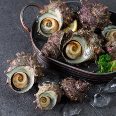 아라보감 국산 뿔소라 생물 7~10미 (냉장), 1kg(7~10미), 1개