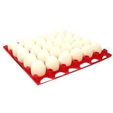 塑膠雞蛋盒, 紅色的