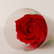 아스파시아 퍼퓸 로즈 한송이 비누꽃 10p, 레드