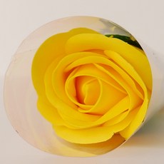 ASPASIA 香氛玫瑰單朵香皂花 10入, 黃色