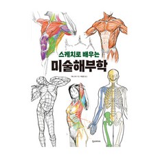 Hans Media 以素描學習美術解剖學, 加藤康太