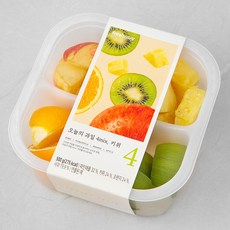프레시지 오늘의 과일 4mix 키위, 500g, 1개