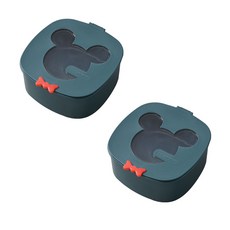 라라미즈 미니 수납 다용도 쥬얼리 스토리지 박스 SN064, 2개, 그린