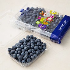 폴앤박 블루베리 2팩, 620g, 1개