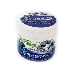 물만난 블루베리 분말, 200g, 1개