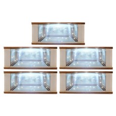 Teachers 3D立體全像體驗箱DIY套組 R-48, 5套