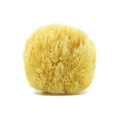 地中海海綿 海綿, 單色, 1個