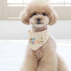 RITOGATO 寵物慶生圍巾 XXL, 黃色, 1個