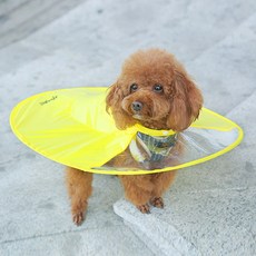 강아지 비행 접시 투명 비옷 AA504-6, 옐로우, 1개