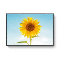 Make Me 向日葵風景畫 C, 黑色