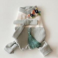 BYDAMSOOMI 寵物流蘇韓服一體機, 灰色的