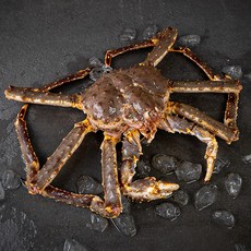바이킹마켓 러시아 활 킹크랩, 2.5kg, 1개