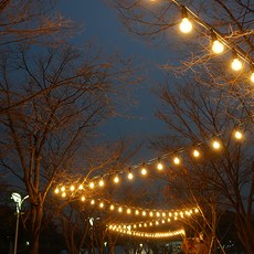 裝飾燈串 15m+燈泡 3W 15入, 黑色（燈絲），3000K（英寸球）, 1組