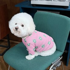 bydamsoomi 狗狗撞色花朵提花針織衫, 粉紅色