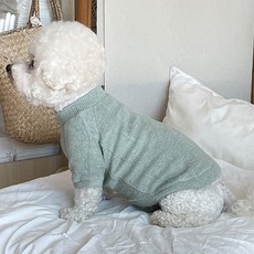 bydamsoomi 狗狗 Land 針織衫, 薄荷綠