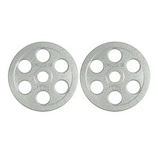 플러그피트니스 6홀 중량 주물 원판, 10kg, 2개, Iron