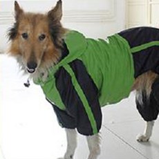 狗狗大型小型雨衣, 03 綠色