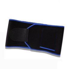 세일즈랩 스포츠형 베이직 밴딩 허리보호대 블루, 1개