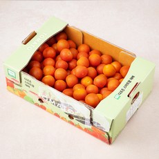 다조은 GAP 인증 스마트팜재배 캔디토마토, 2kg, 1박스