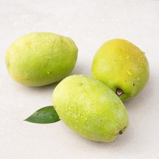 푸드베이스 청도 모과 2~3입, 1kg