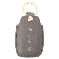 바슬리 크리스페 가죽 스마트 키케이스, 에땅 금, KA014