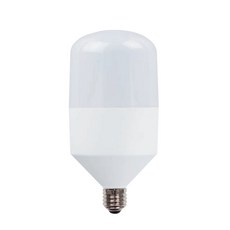 DOOYOUNG LED 球型燈泡 31W E26, 晝光色, 1個