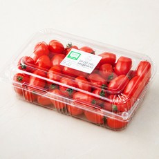 GAP 인증 고당도 스넥티니 대추방울토마토, 1kg, 1개