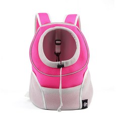 寵物基礎彩旗 B11, 類型 2