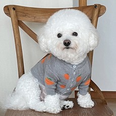 bydamsoomi 狗狗水果針織開襟衫, 灰色的