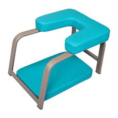 萊昂瑜伽普倒轉椅 SI161, 藍色