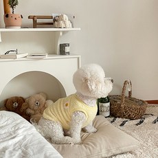 BYDAMSOOMI 寵物服飾 毛絨背心, 黃色的