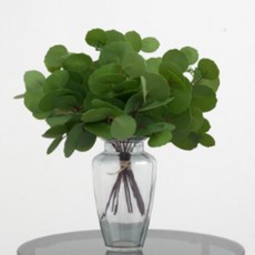 Minsung Company 人造花 居家植栽裝飾 圓葉尤加利 3入, 淺綠色