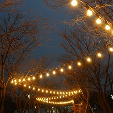 Mac Art LED弦線15m 15插座 + INCHU 3W礦山15p, 黑色(電線), 1組