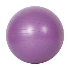 마음이음마켓 내구성이 두터운 짐볼, 퍼플