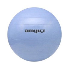 마음이음마켓 두터운 균형운동용 요가볼, 다크블루