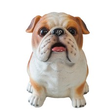 DARUMEE 吃錢動物小豬存錢筒, 02 鬥牛犬B, 1個