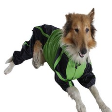 大型 小型犬雨衣 LM, 03 綠色, 1個