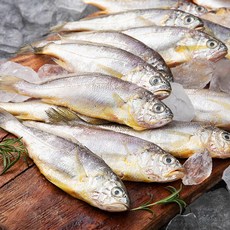 백미리 산지직송 국내산 햇 생물 참조기 12~17미, 1kg, 1개