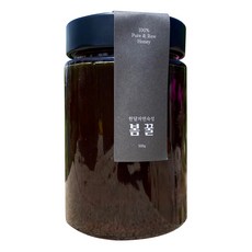 Seogidang春蜜玻璃瓶, 500g, 1罐